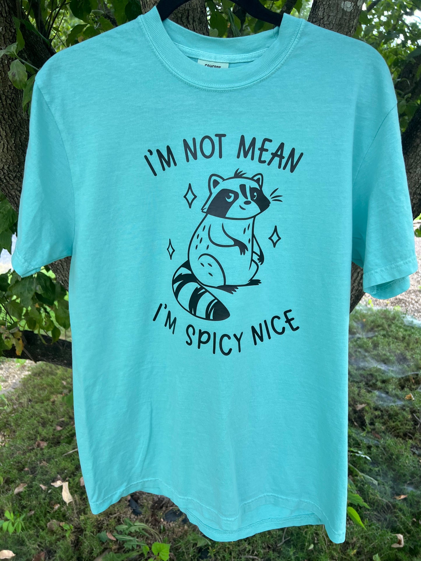 I’m Not Mean, I’m Spicy Nice Handmade Cotton T-Shirt