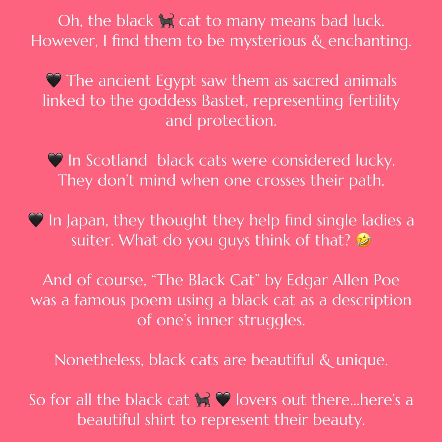 Black Cat Peach T-Shirt