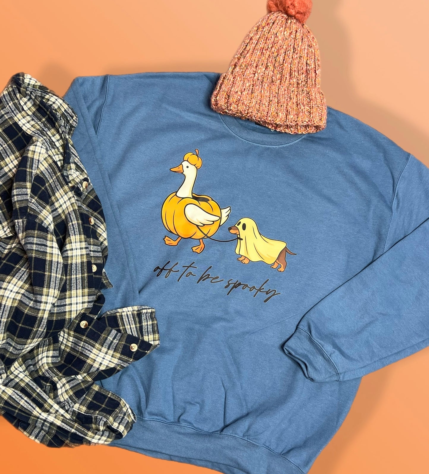 Off to be spooky… adorable sweatshirt!