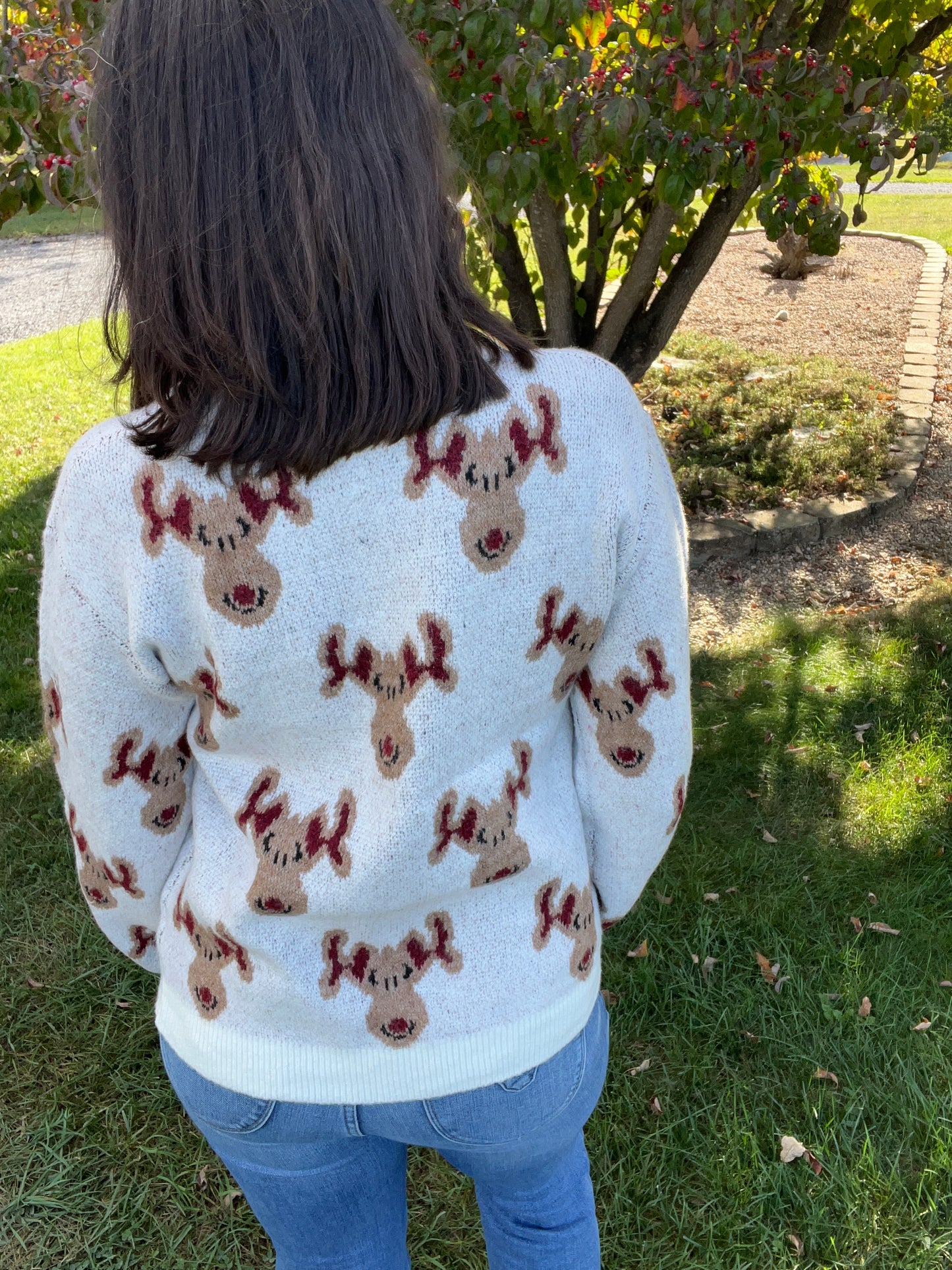 Rudolph Soft Sweater