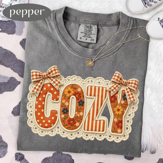 Cozy Comfort Colors Tee - 3XL